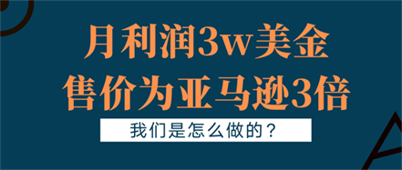 月利润3w美金,售价为亚马逊3倍,我们是怎么做的? 月利润3w美金,售价为亚马逊3倍,我们是怎么做的?