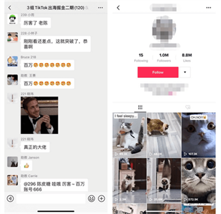 30天内如何孵化5个TikTok百万粉帐号?| Tiktok出海掘金 30天内如何孵化5个TikTok百万粉帐号?| Tiktok出海掘金