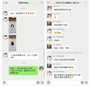 30天内如何孵化5个TikTok百万粉帐号?| Tiktok出海掘金 30天内如何孵化5个TikTok百万粉帐号?| Tiktok出海掘金