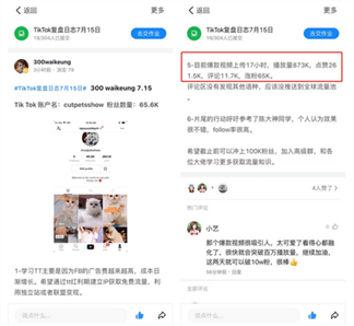 30天内如何孵化5个TikTok百万粉帐号?| Tiktok出海掘金 30天内如何孵化5个TikTok百万粉帐号?| Tiktok出海掘金
